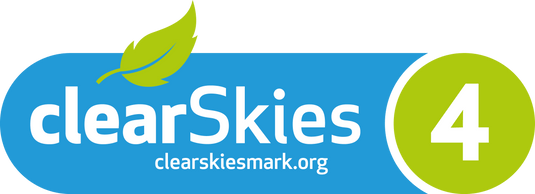 Ekol Baked Apple Pie Wood Burning Ecodesign Stove